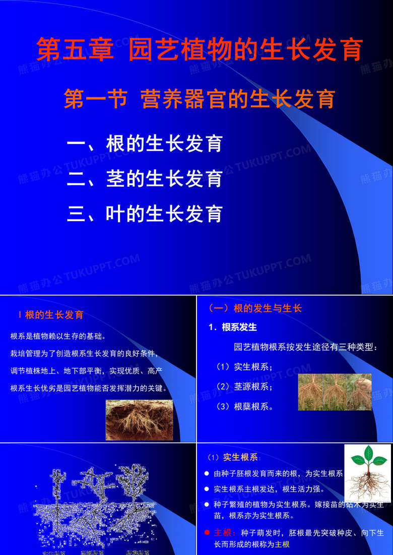 园艺学通论第二章园艺-发育