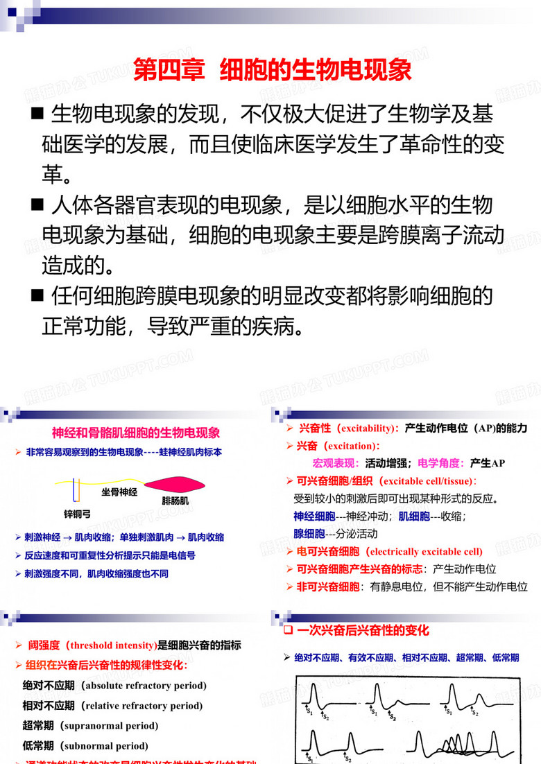 细胞生物电