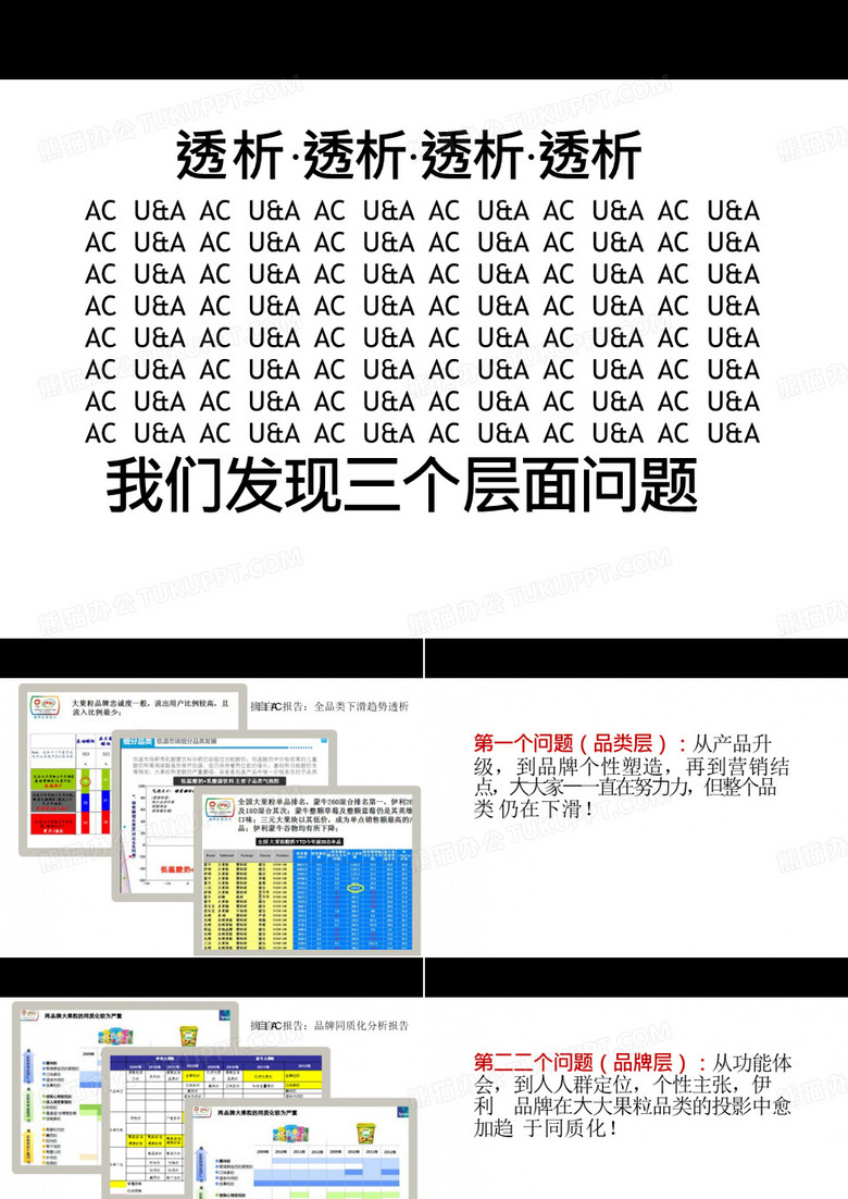 伊利大果粒品类市场领导策略提升方案