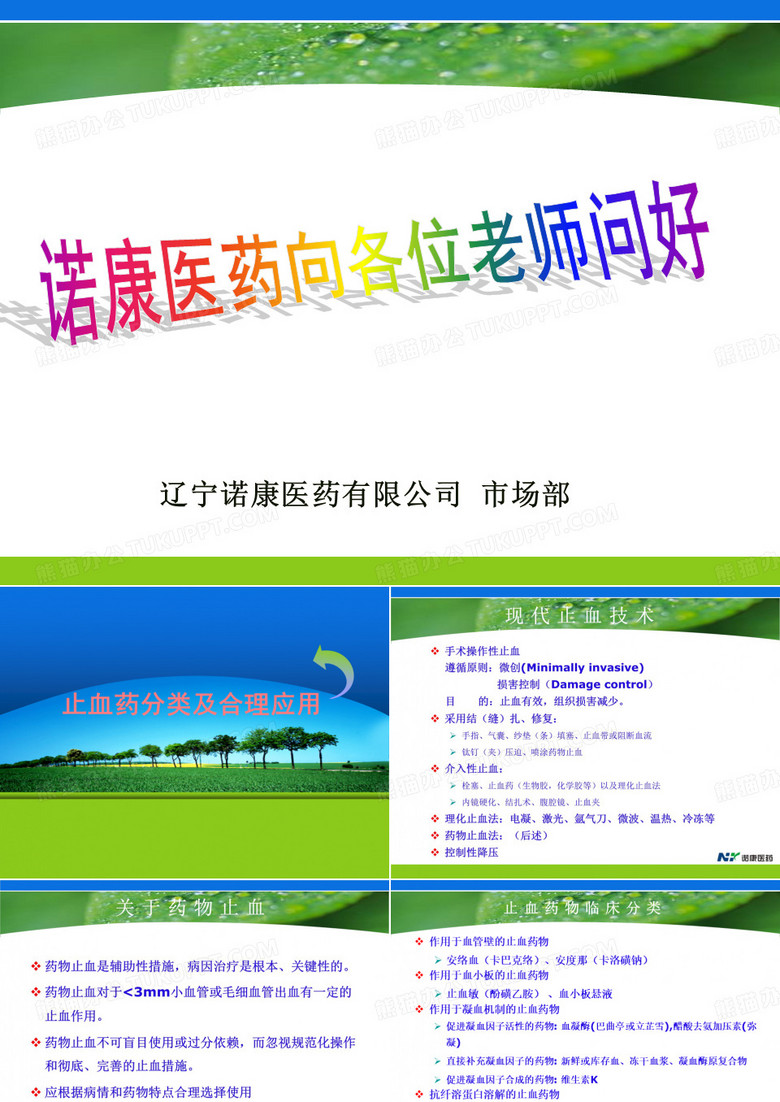 合理应用止血药止血药分类