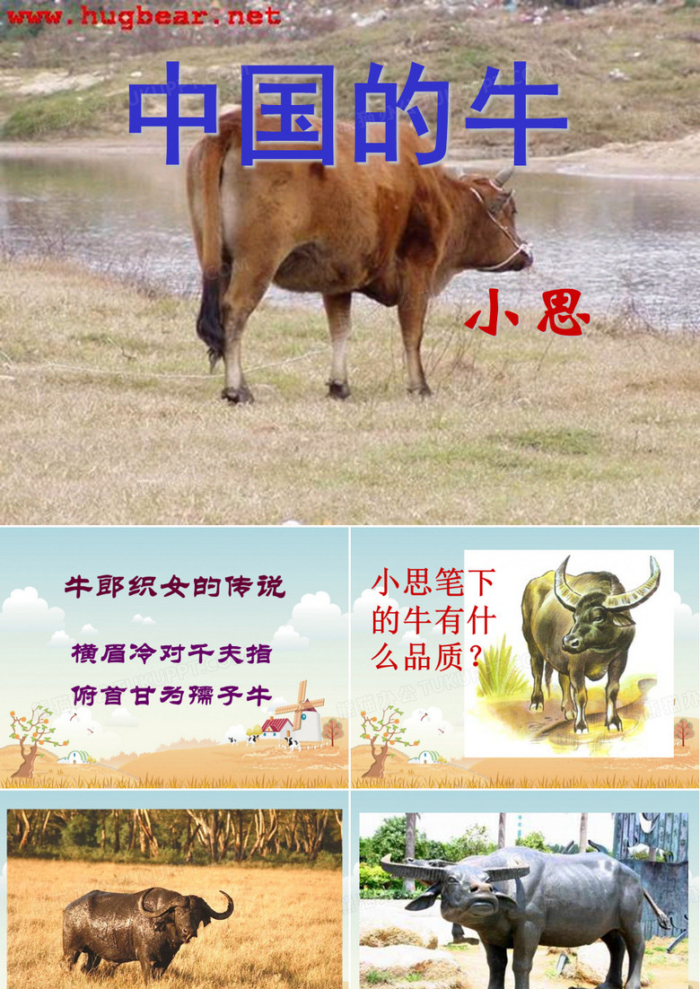 中国的牛 - 宁波市鄞州区四明职业高级中学