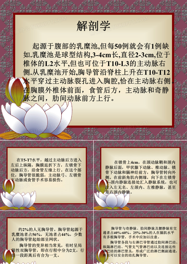 胸导管与乳糜胸