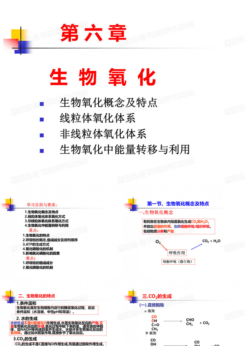 生化生物氧化