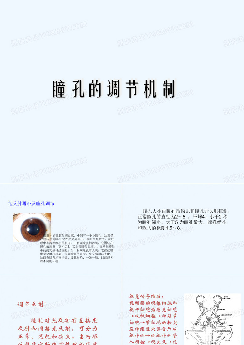 脑外科瞳孔观察