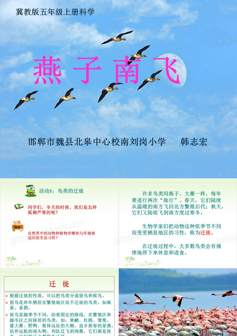 五年级上册公开课-燕子南飞丨冀教版 (23张)课件下载
