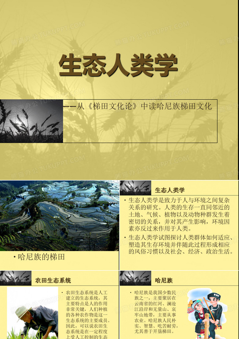 生态人类学--从《梯田文化论》中读哈尼族梯田文化