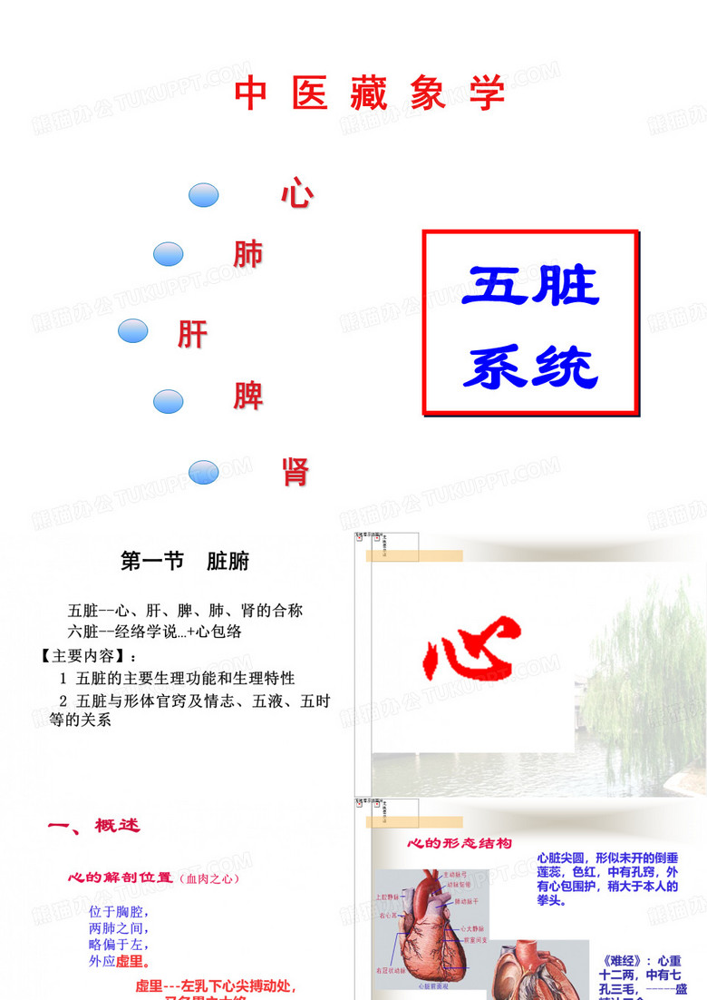 心肺肝脾肾中医藏象学