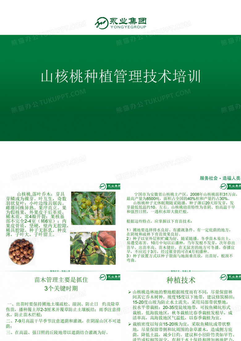 山核桃病虫培训