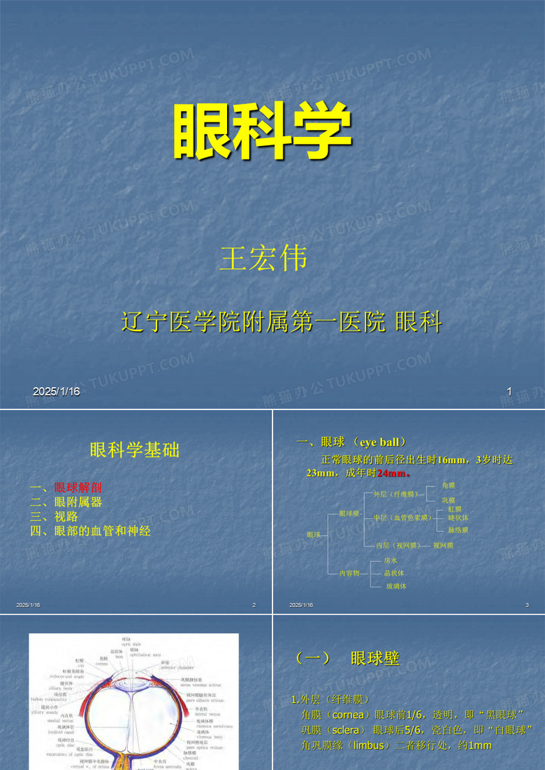眼解剖和生理ppt课件
