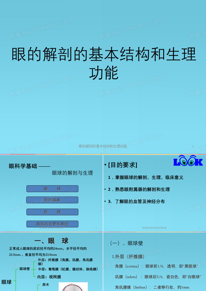 眼解剖基本结构以及生理功能