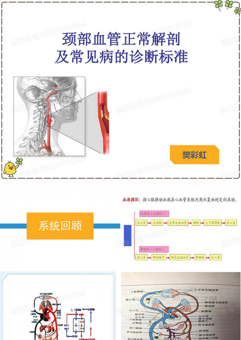 颈部血管解剖