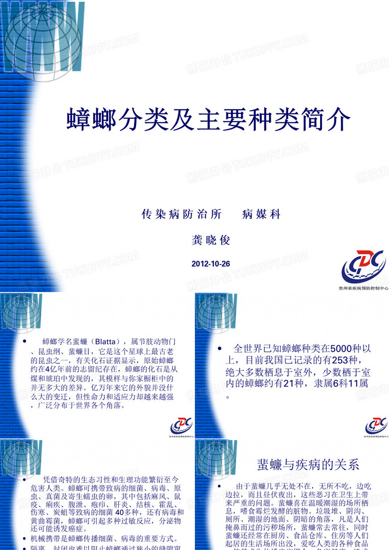 蟑螂主要种类简介