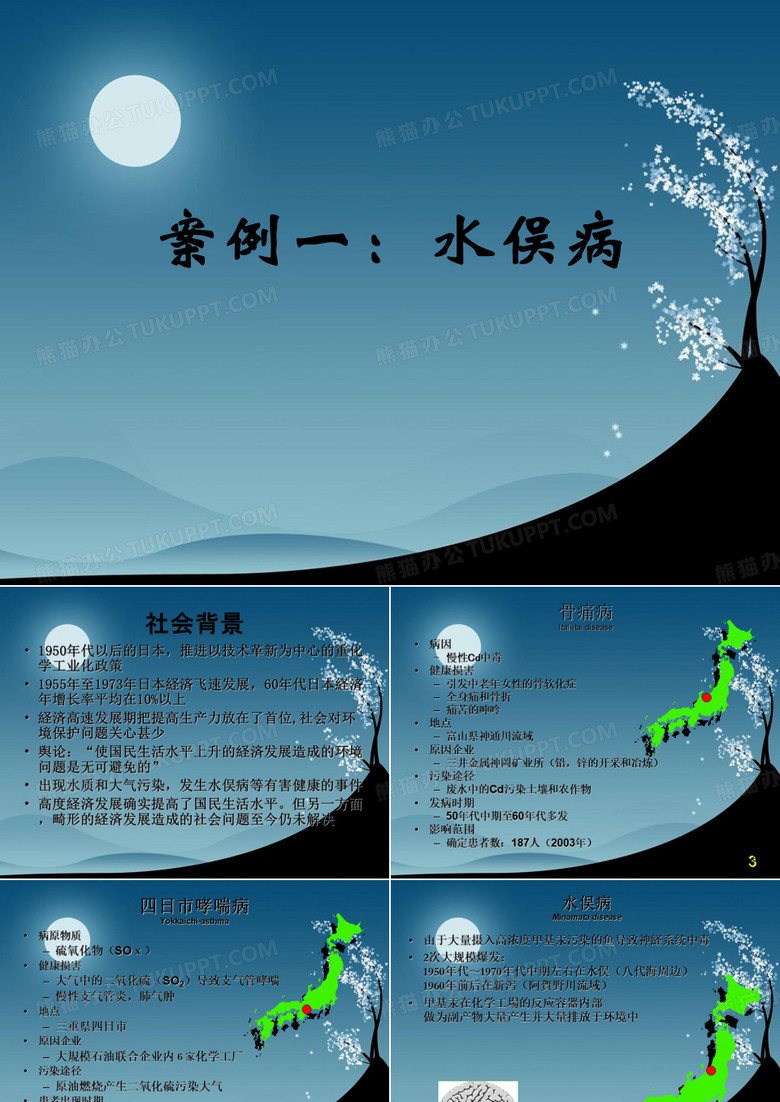 水俣病案例分析ppt课件