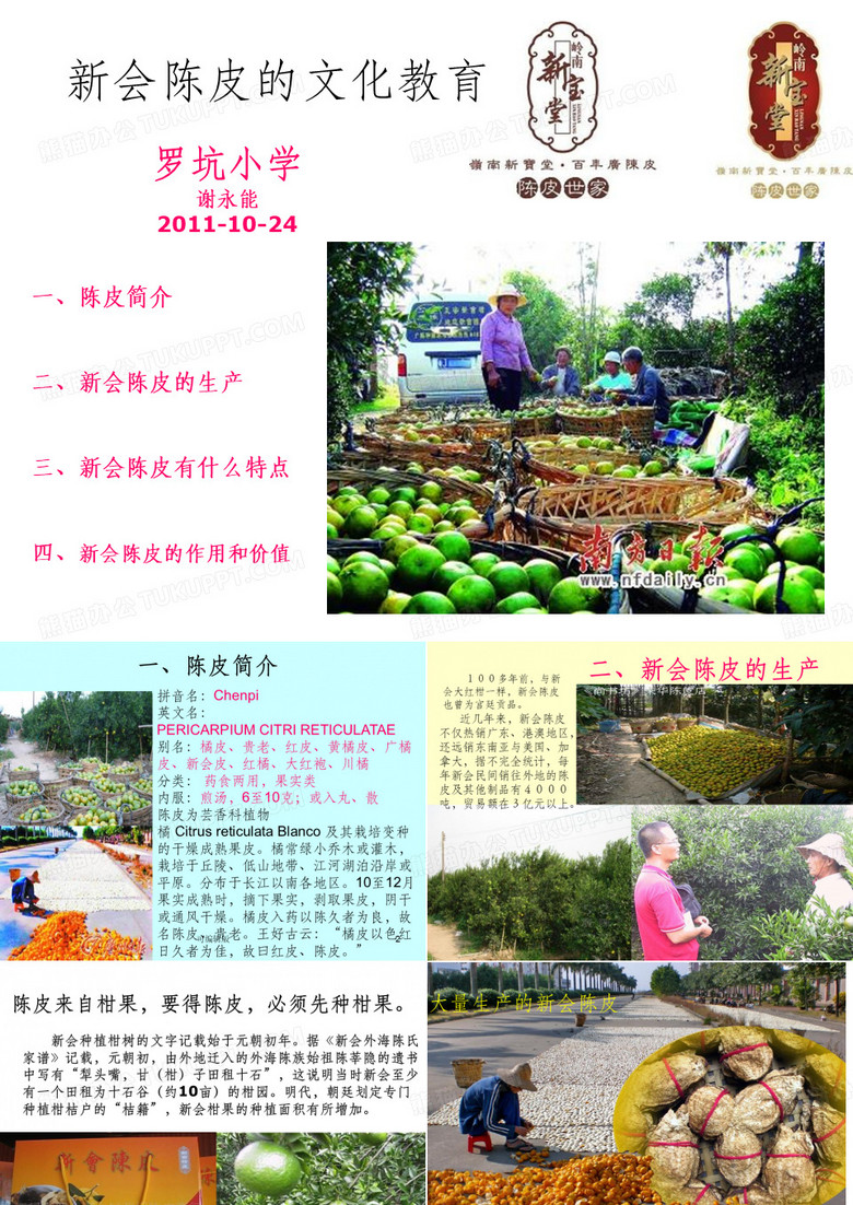 小学陈皮的文化教育