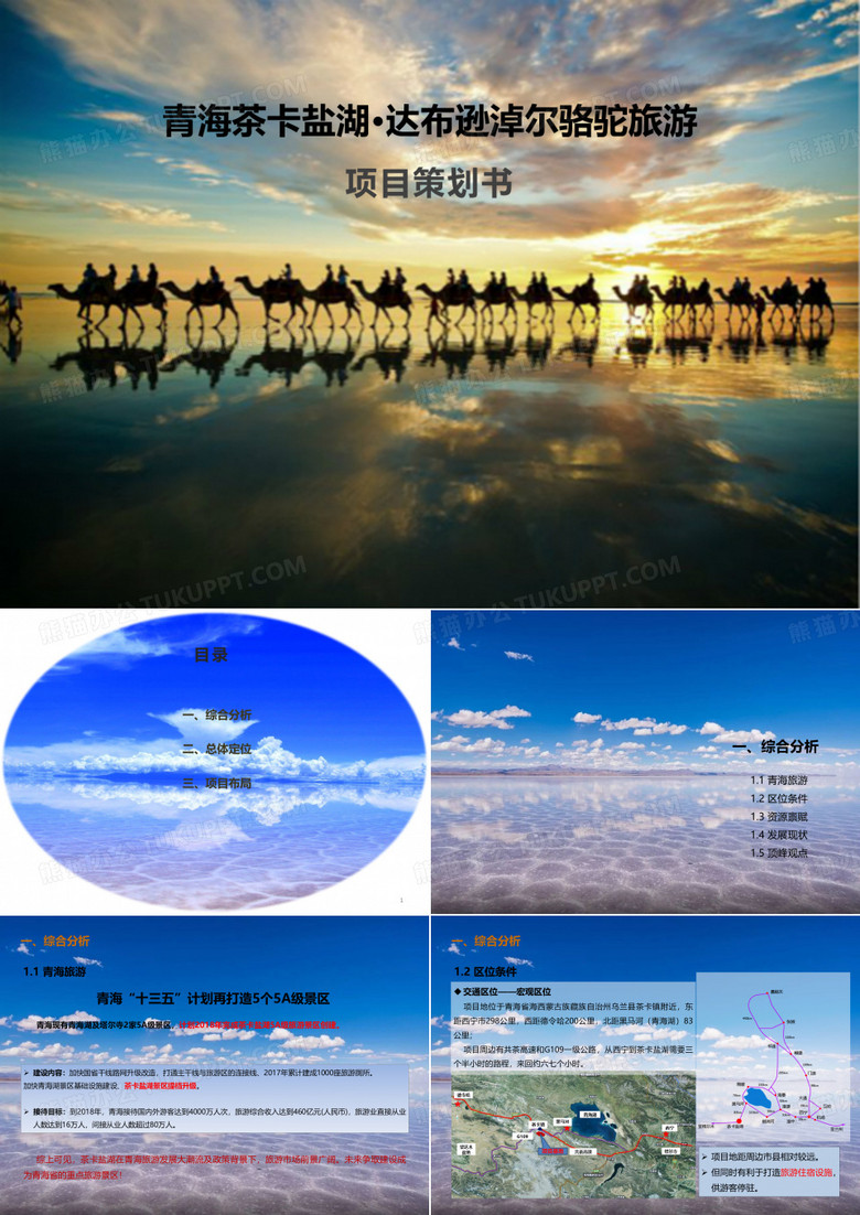 青海茶卡盐湖·达布逊淖尔骆驼旅游项目建议书