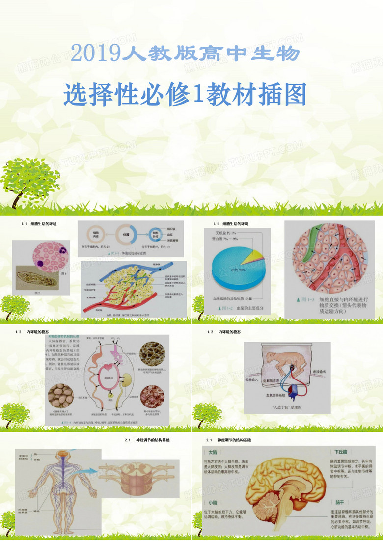(做课件必备)2019人教版高中生物选择性必修1教材插图