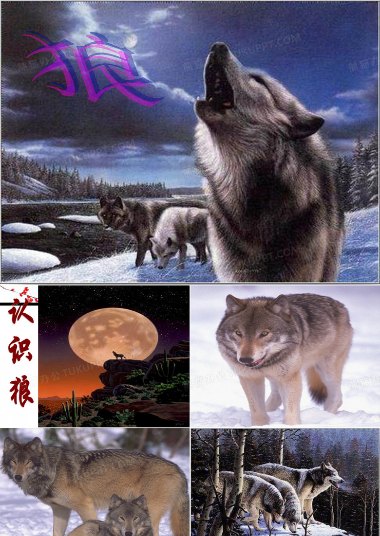 《狼》蒲松龄