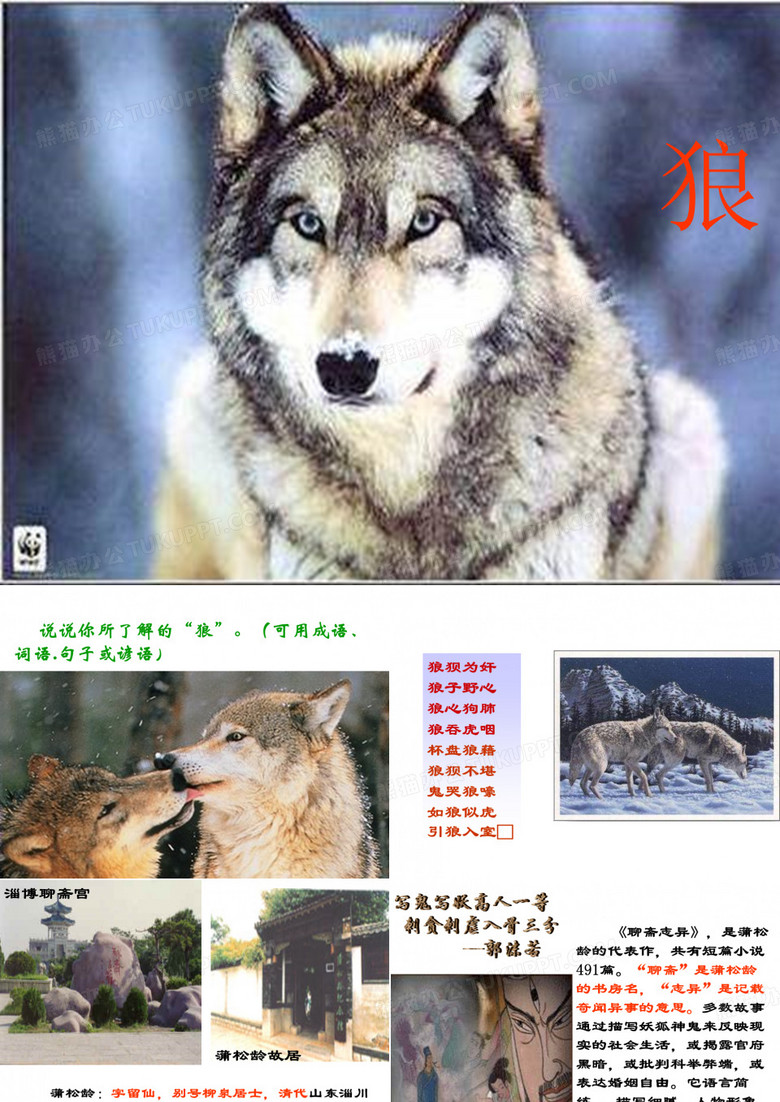 蒲松龄狼