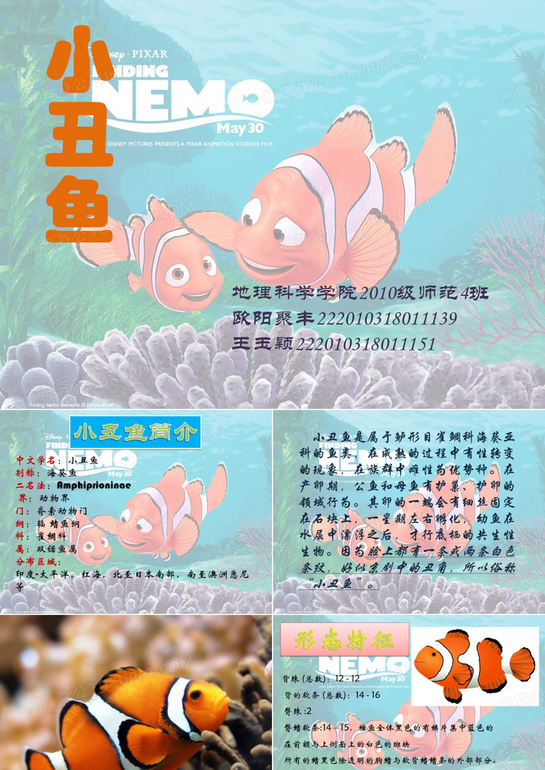 观赏鱼的养殖