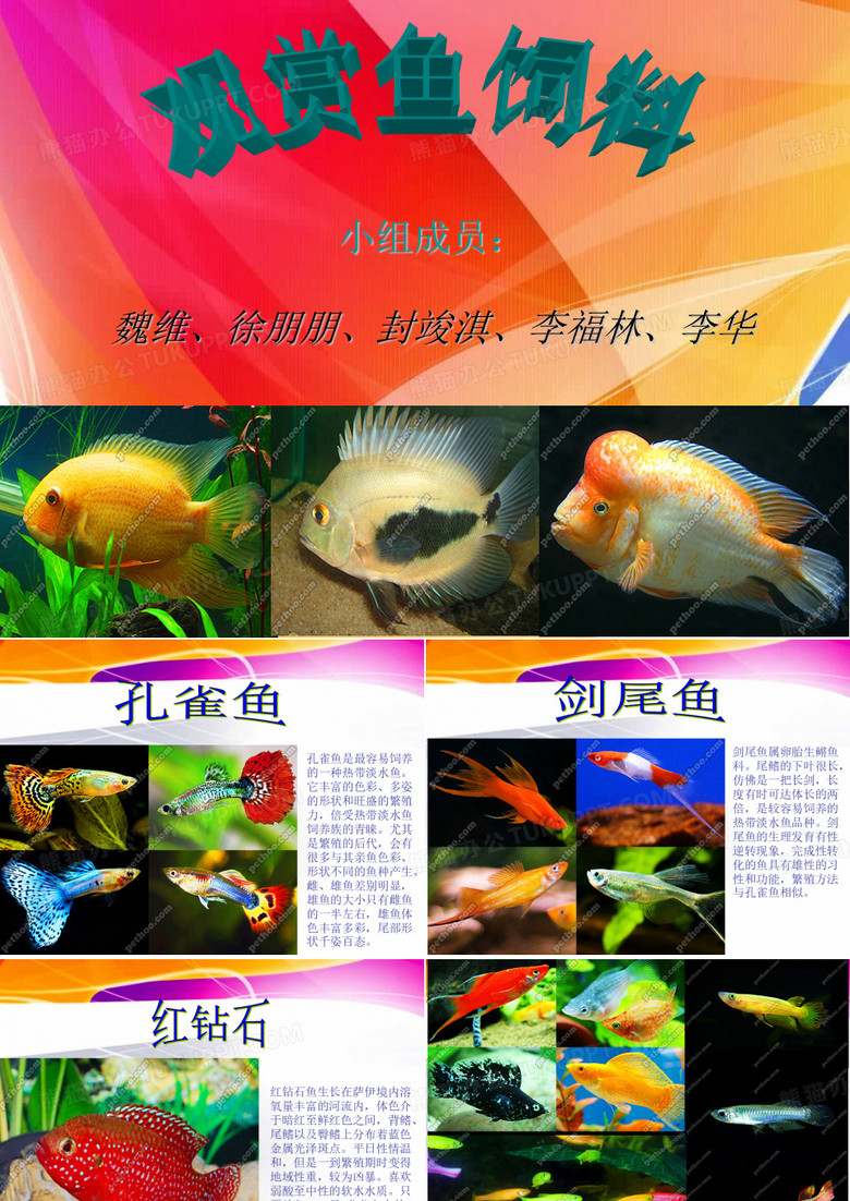 观赏鱼饲料