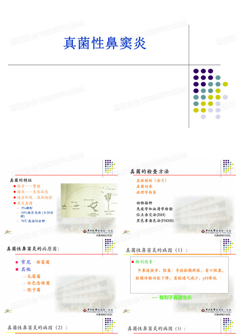 真菌性鼻窦炎