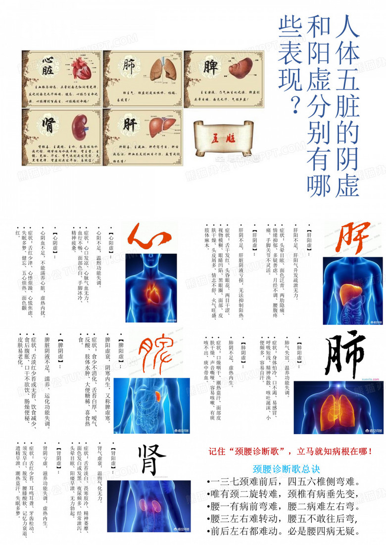 人体五脏的阴虚和阳虚分别有哪些表现