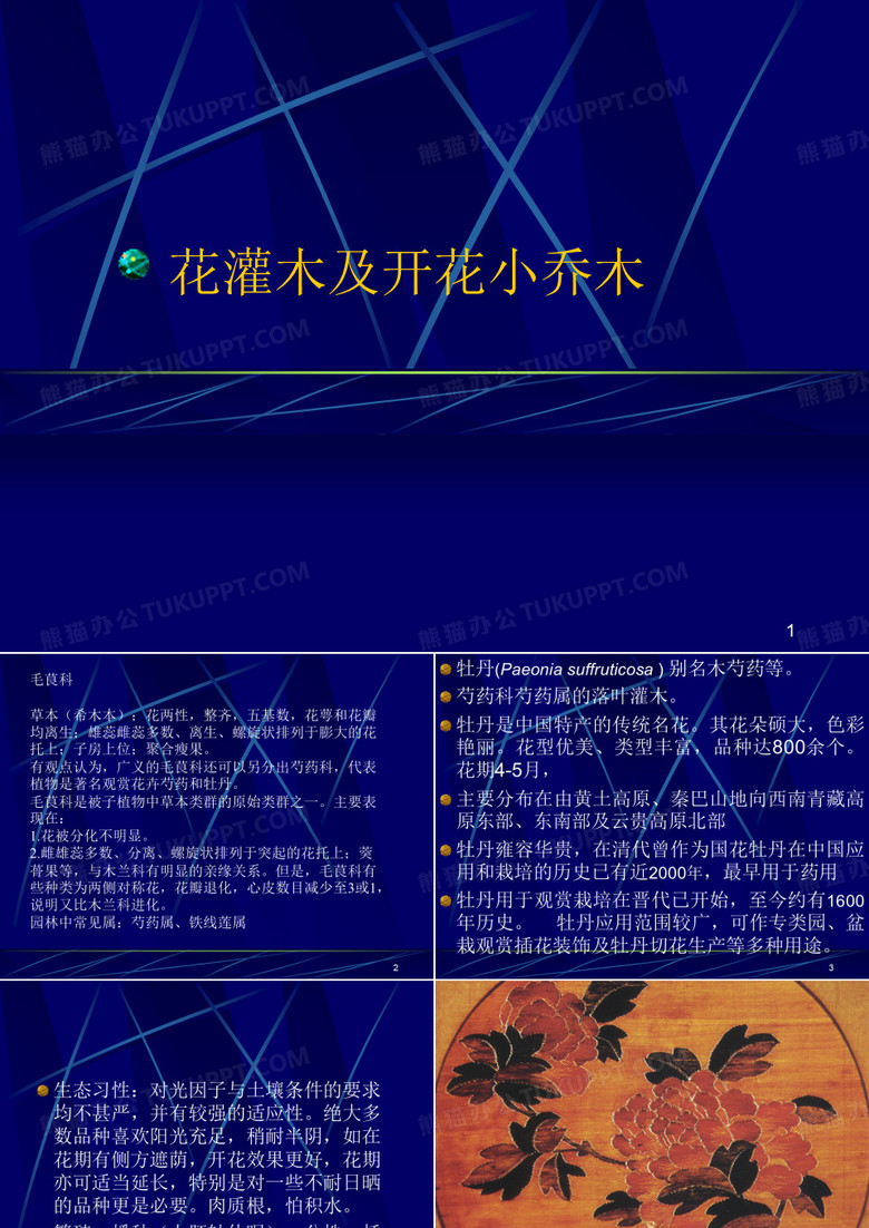 观赏花灌木