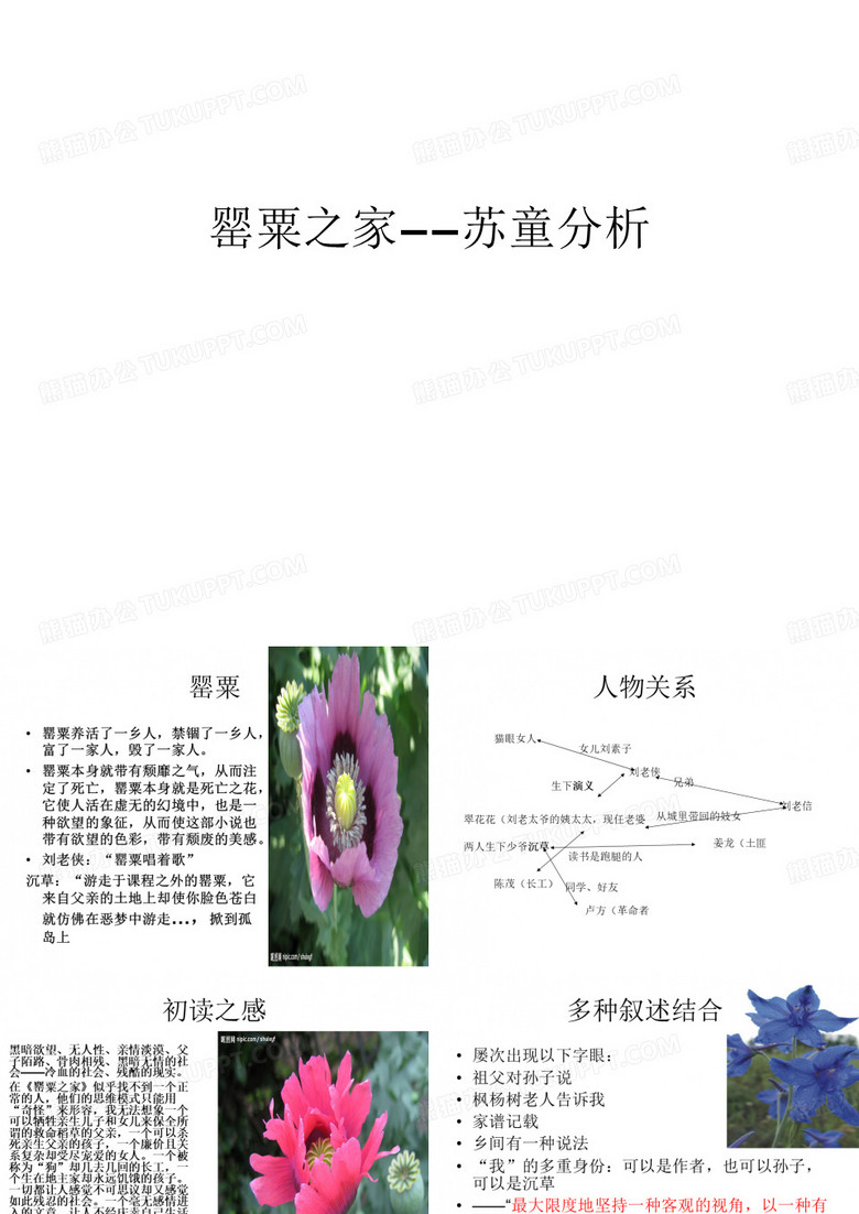 罂粟之家——苏童分析知识讲解