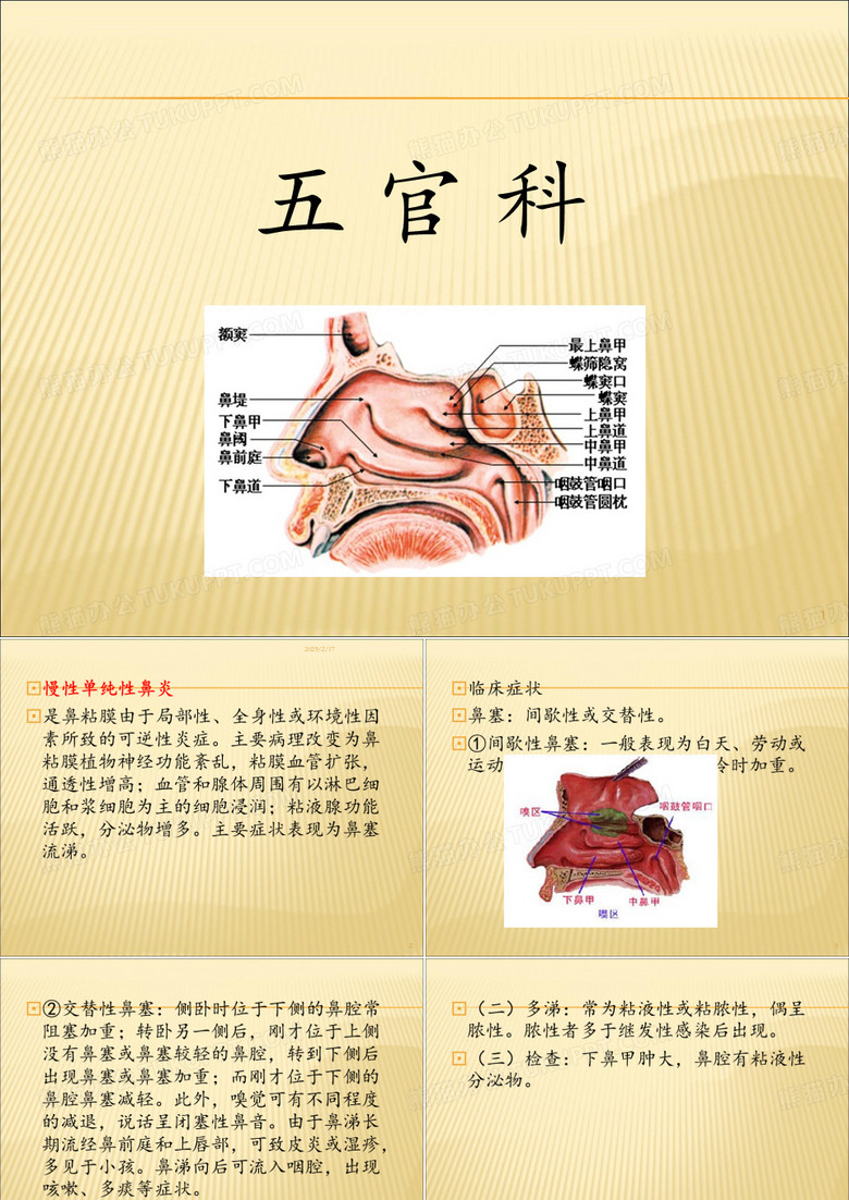 五官科PPT课件