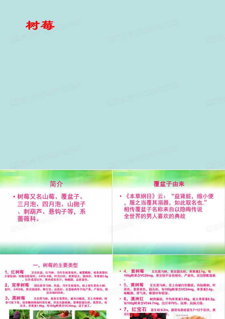 树莓