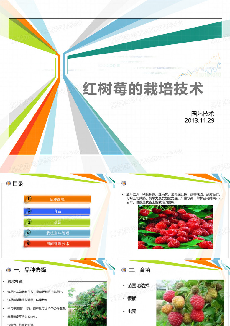 树莓的栽培技术