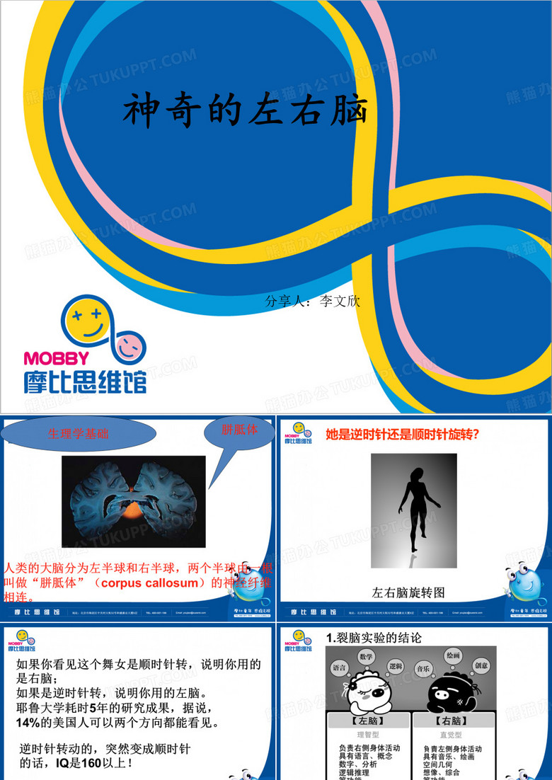 左右脑分享