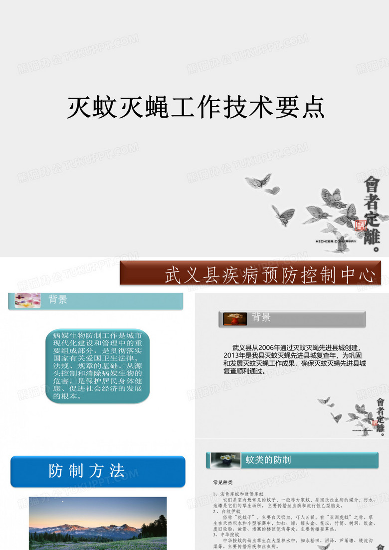 灭蚊灭蝇工作技术要点