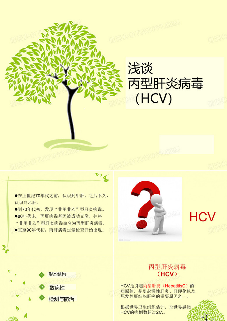 丙肝病毒