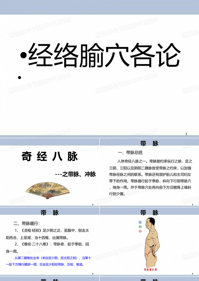 带脉、冲脉PPT演示课件