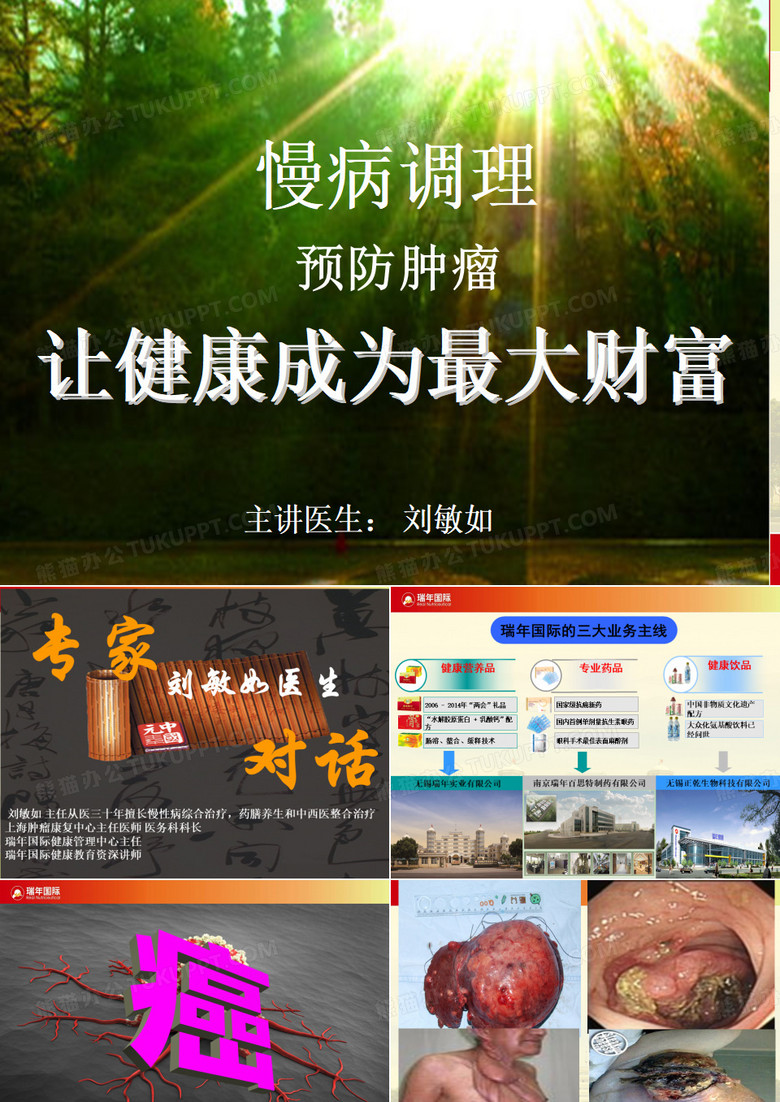 瑞年蜂灵宝.ppt