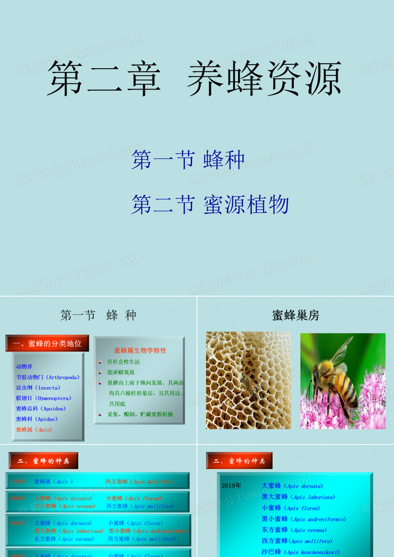 第二章养蜂资源-PPT课件