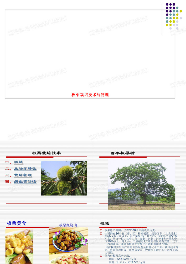 板栗栽培技术与管理