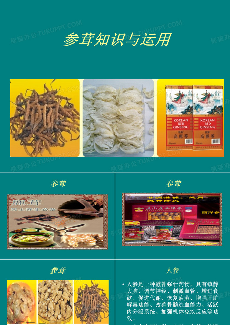 参茸知识与运用ppt课件