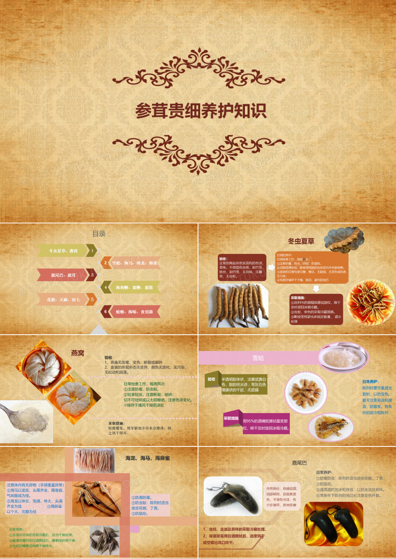 参茸贵细养护知识