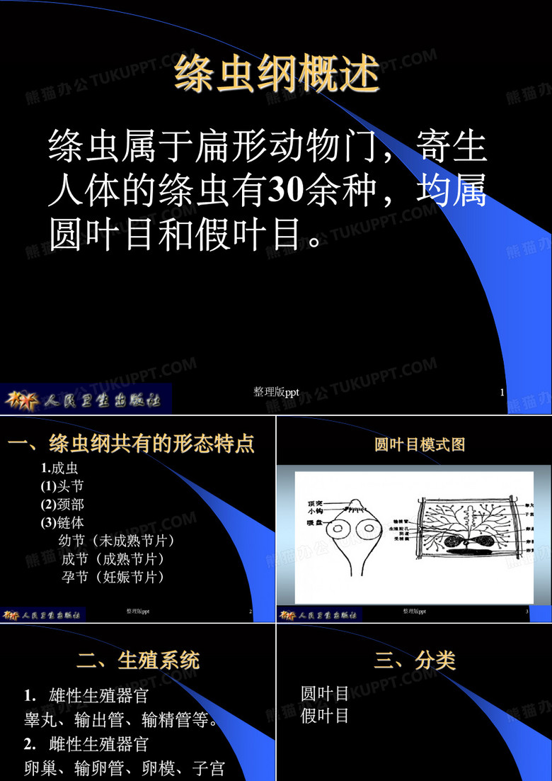 猪带绦虫和牛带绦虫