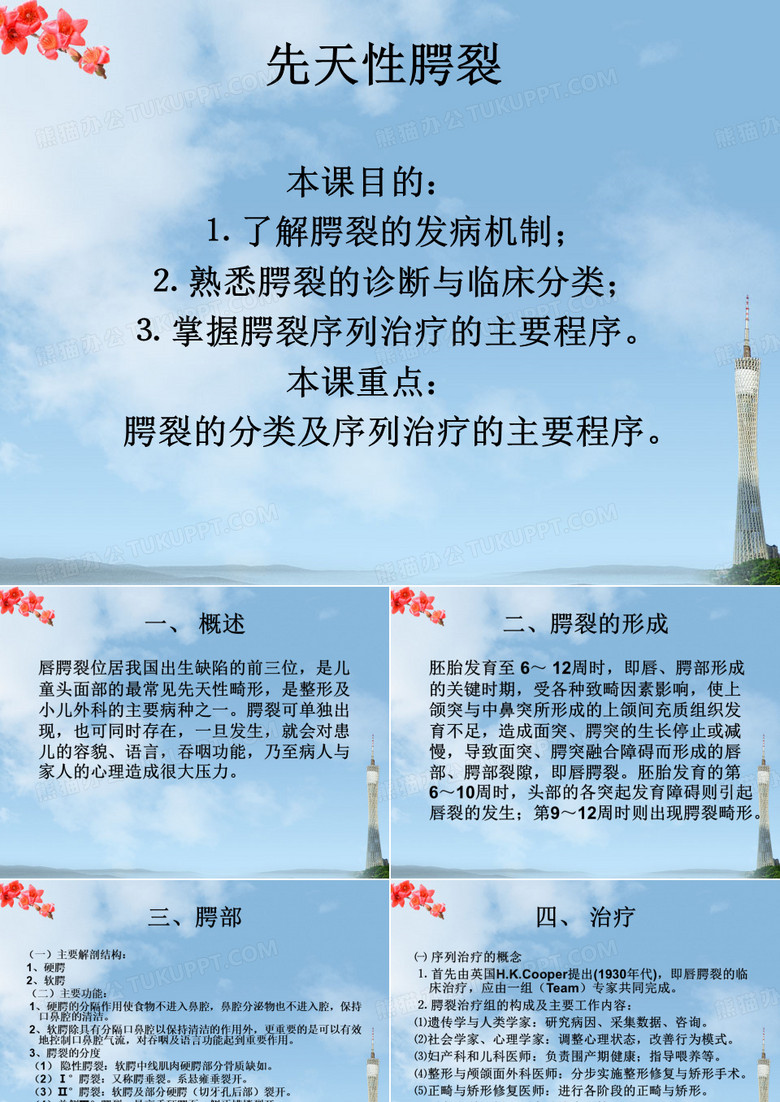 先天性腭裂 PPT课件