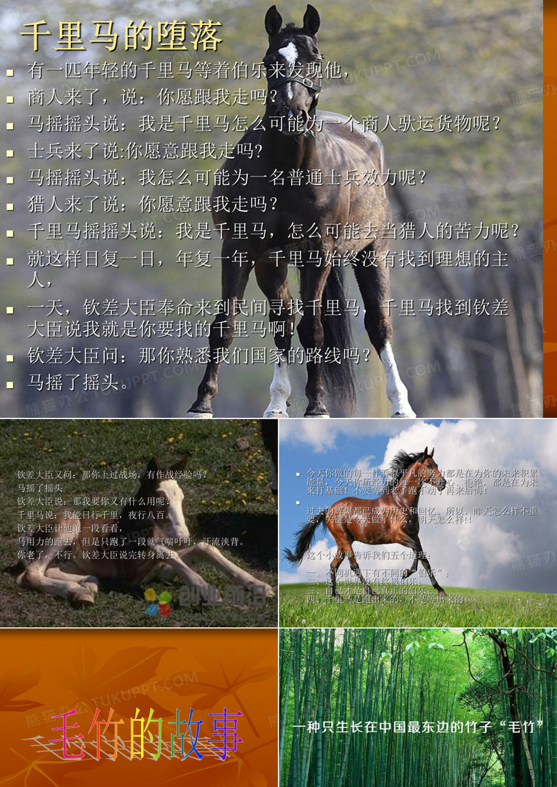 毛竹的故事(1)(4)