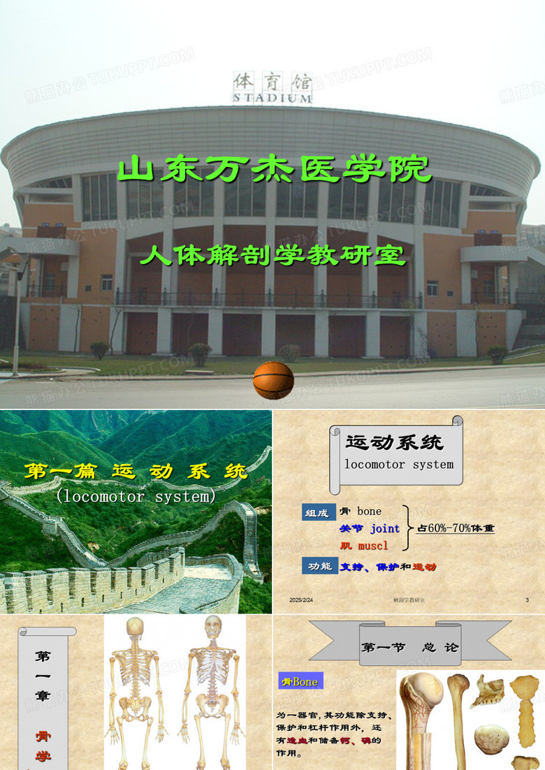 骨学