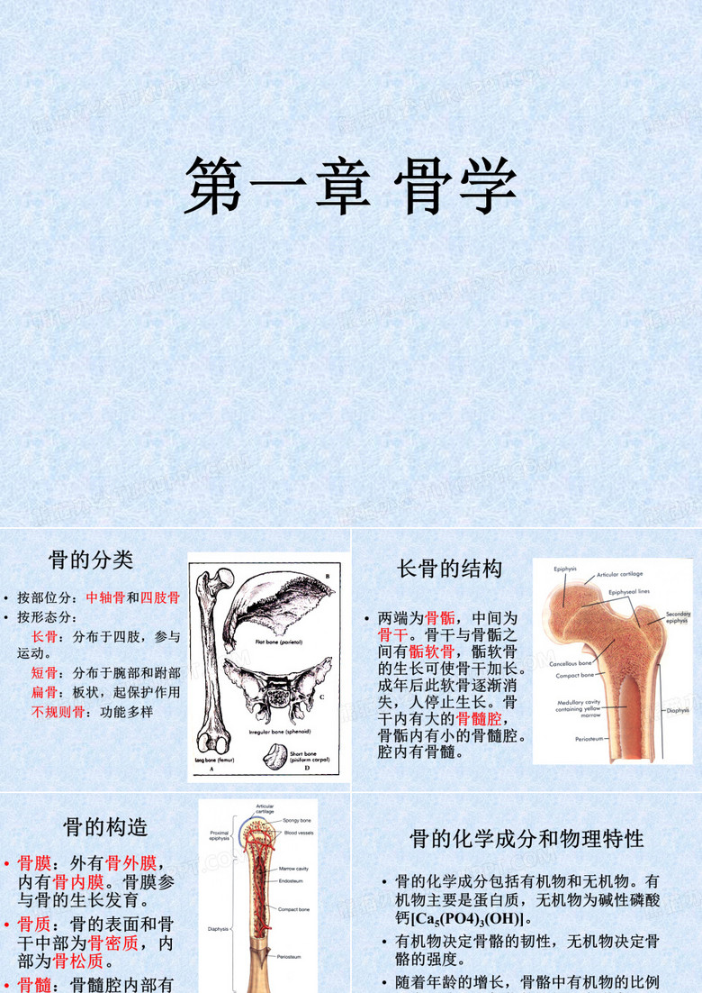 骨学