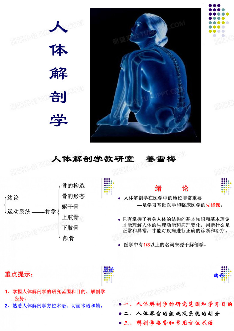 zy-骨学
