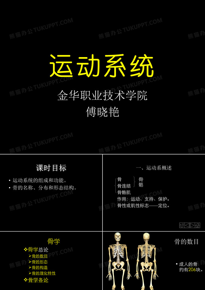 运动系统——骨学