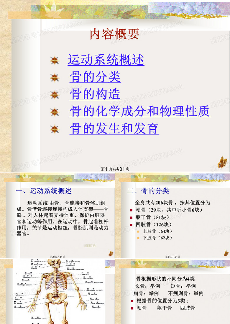 骨学总论PPT