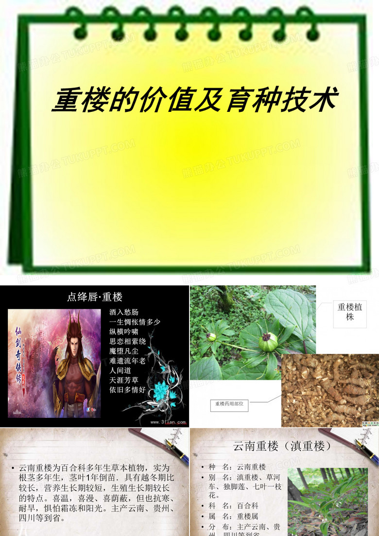 重楼