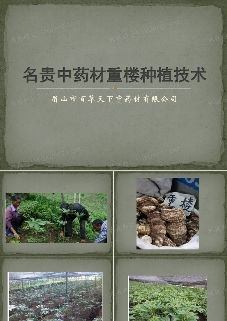 重楼种植技术
